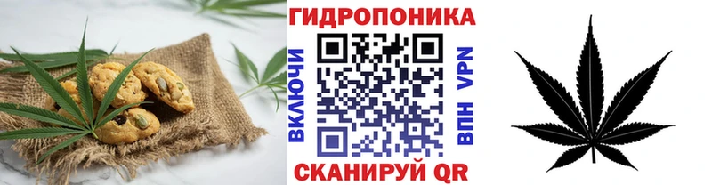 Canna-Cookies конопля  мега сайт  Солигалич  наркотики 