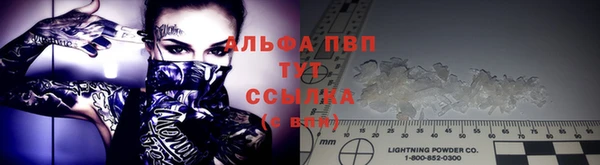 apvp Алзамай